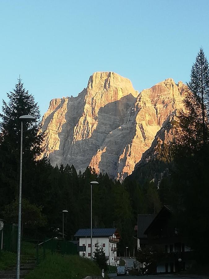 Dolomites Holidays セルヴァ・ディ・カドーレ エクステリア 写真