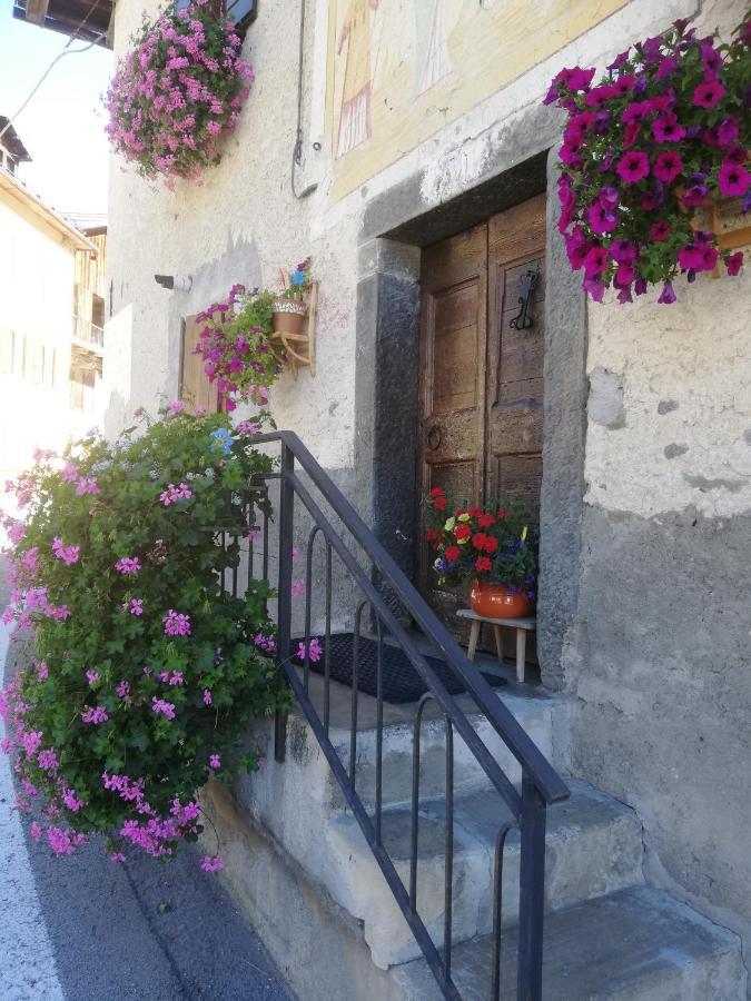 Dolomites Holidays セルヴァ・ディ・カドーレ エクステリア 写真